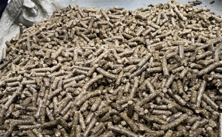 為什么很多人想了解木屑顆粒機加工的燃料顆粒作用？