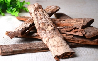 木材加工廠的廢棄物刨花能夠用來做什么？鋸末顆粒機告訴你