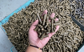 貴州省習水縣桃林鎮：燃料化利用，讓秸稈變廢為寶
